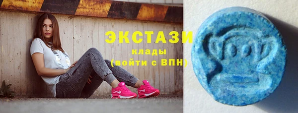 молекула духа Арсеньев