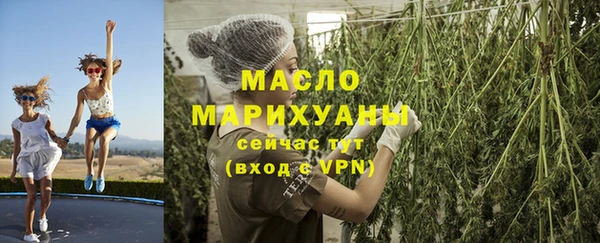 молекула духа Арсеньев