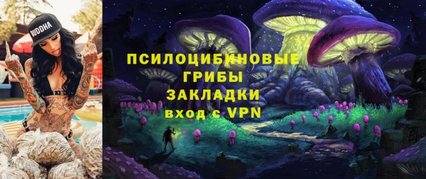 герыч Россошь