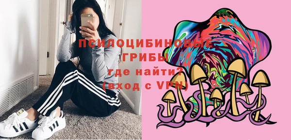 МДПВ Армянск