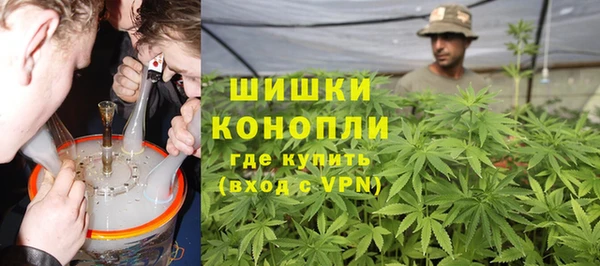 молекула духа Арсеньев