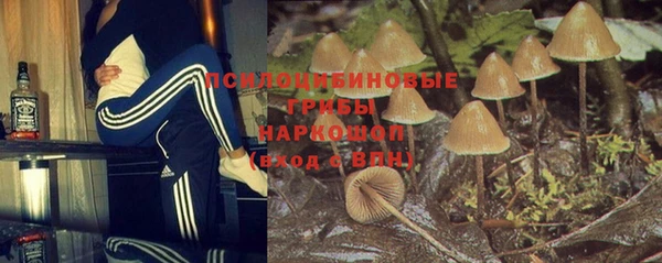МДПВ Армянск