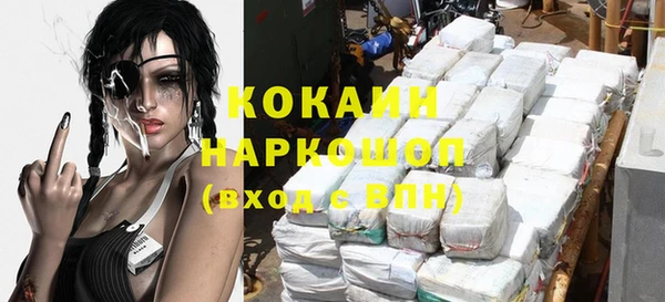 молекула духа Арсеньев
