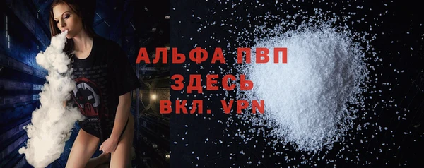 сатива Ростов