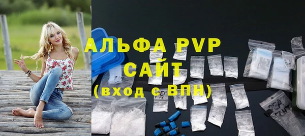 молекула духа Арсеньев