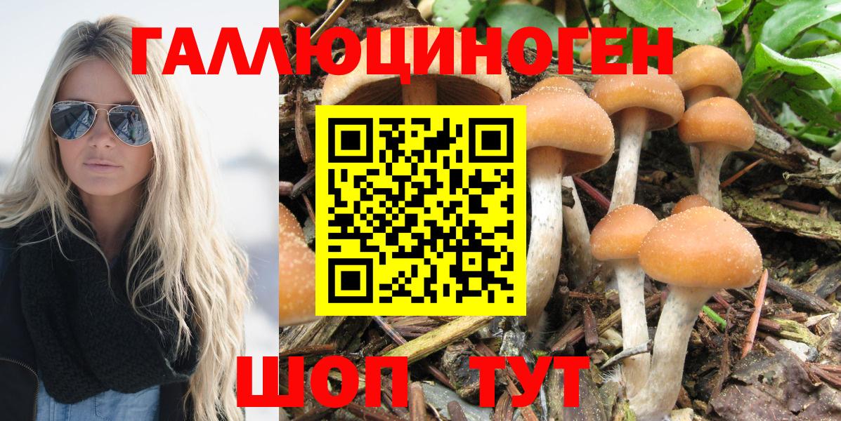 Псилоцибиновые грибы Psilocybine cubensis  Вход с VPN  Баксан 